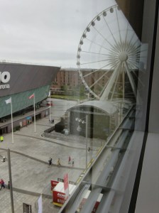 IMG_20150614_0748320_rewind