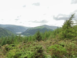 IMG_20150703_1526583_rewind