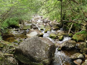 IMG_20150703_1601087_rewind