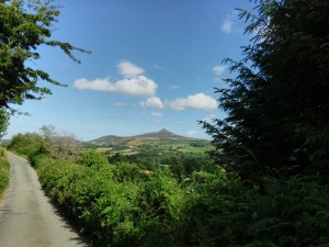 IMG_20150704_1654368_rewind