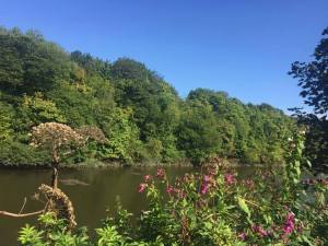 by CS of the Trail Outlaws