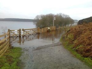 1915881_1691664334382121_2229002191179264083_n