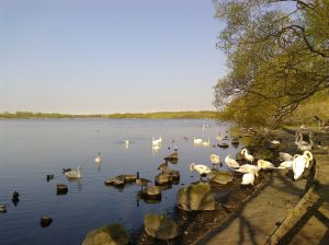 30821794_2042586912623193_8143611890015744067_o