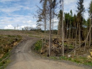 IMG_20200509_110819_2