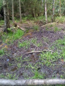 IMG_20200509_112757_8